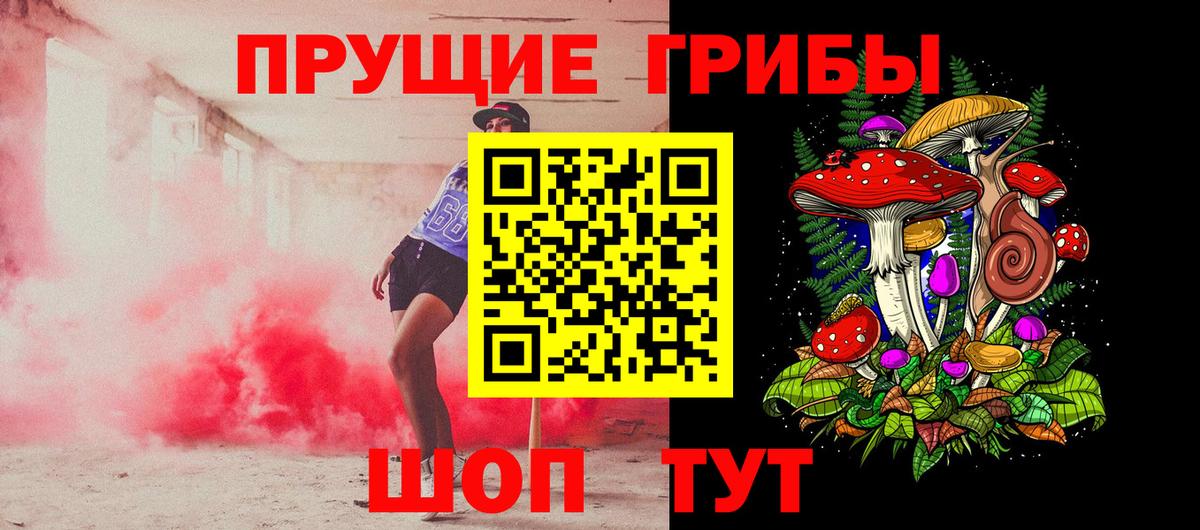 Галлюциногенные грибы Psilocybe Ярославль